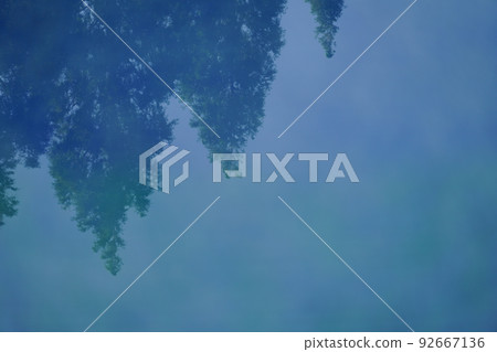 水杉樹倒映在水中 水杉樹倒映在水中 92667136