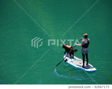 夏季的志摩湖 與您的狗一起立槳 92667173