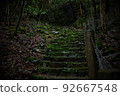 Stone stairs in mossy mountains 92667548