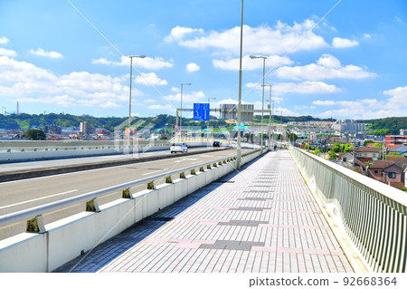 Inagi Bridge / Tamagawa Looking towards Inagi City (Inagi City, Tokyo) [July 2022] 92668364