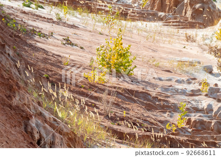 Colorful sand dunes weathered desert close-up 92668611