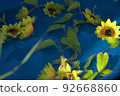 漂浮在水中的向日葵夏天圖片素材背景 92668860