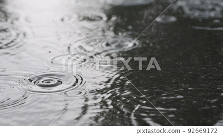 closeup of summer heavy rain drops falling into puddles on asphalt 92669172