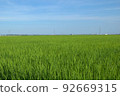 夏季七月素材農村田野形象 92669315