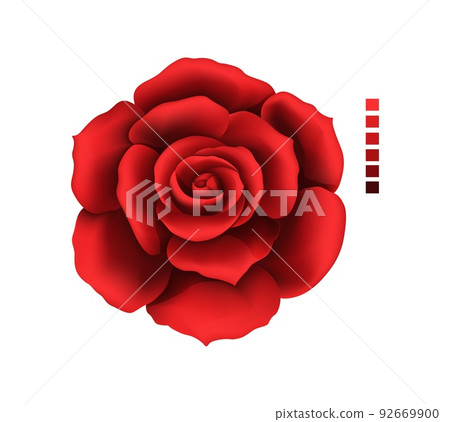 Rose hand drawing and mesh colored. A blossoming rosebud. Vector illustration. 92669900