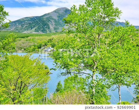 高原白樺與湖泊（蓼科山與白樺湖） 92669901