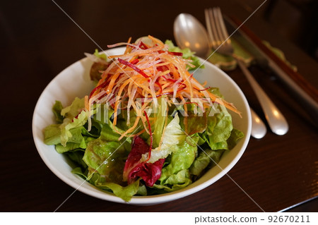 colorful salad colorful salad 92670211