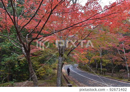 禦倉山的紅葉 禦倉山的紅葉 92671402