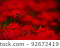 Crimson Higanohana 92672419