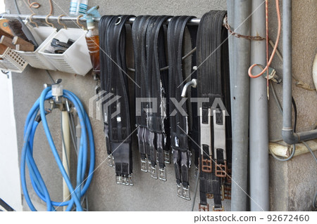 i love horses 92672460