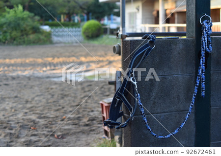 i love horses 92672461