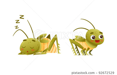 Cute Little Grasshopper Character Standing and Sleeping Vector Set Cute Little Grasshopper Character Standing and Sleeping Vector Set 92672529