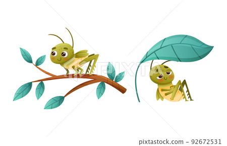Cute Little Grasshopper Character Sitting Under Leaf and on Tree Branch Vector Set 92672531