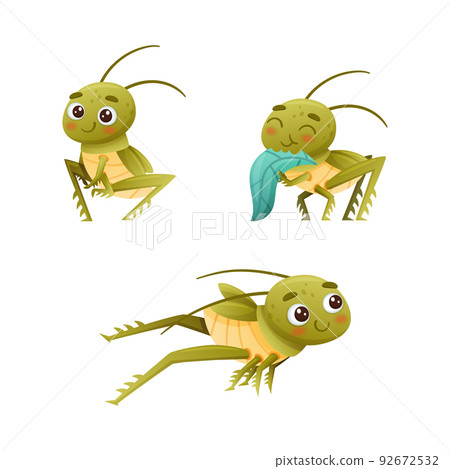 Cute Little Grasshopper Character Sitting, Chewing Leaf and Jumping Vector Set 92672532