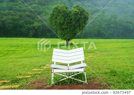 wooden chair and green tree with heart shape and heavy raindrop wooden chair and green tree with heart shape and heavy raindrop 92673497