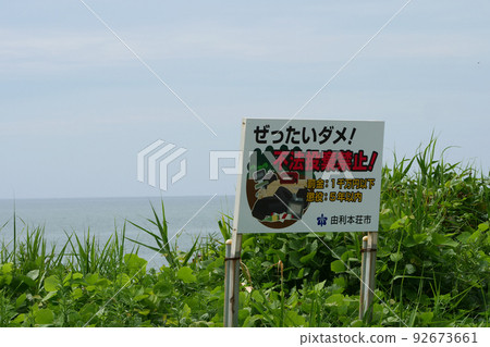 Photo Landscape Dirty sea Sign for illegal dumping Sign for illegal dumping on the coast of the Sea of Japan Photo Landscape Dirty sea Sign for illegal dumping Sign for illegal dumping on the coast of the Sea of Japan 92673661