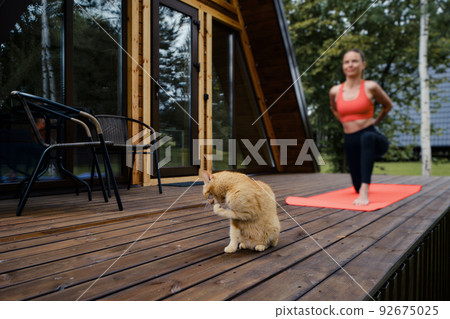 Cute cat washes up on terrace where a woman doing stretching exercises Cute cat washes up on terrace where a woman doing stretching exercises 92675025