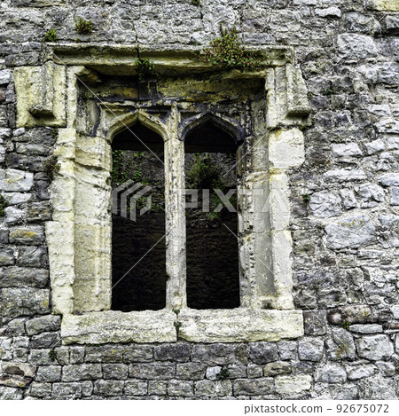 Remains of Chepstow Castle (Castell Cas-gwent) Remains of Chepstow Castle (Castell Cas-gwent) 92675072