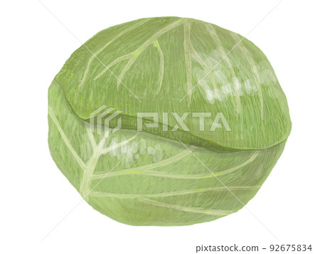 白菜_邊 白菜_邊 92675834