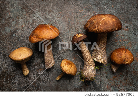 Boletus mushrooms over dark 92677005