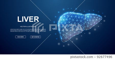 Liver 3d low poly symbol with connected dots for blue landing page template. Hepatitis design illustration concept. Polygonal Organ illustration 92677496