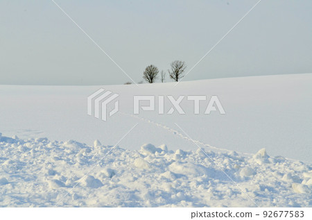 生命的痕跡。冬天 92677583