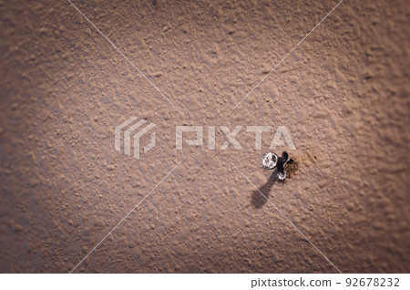 Macro of a single nail protruding from painted drywall in a residential house Macro of a single nail protruding from painted drywall in a residential house 92678232