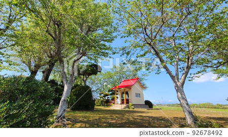 若宮神社(和泉市高尾町中里) 若宮神社(和泉市高尾町中里) 92678492