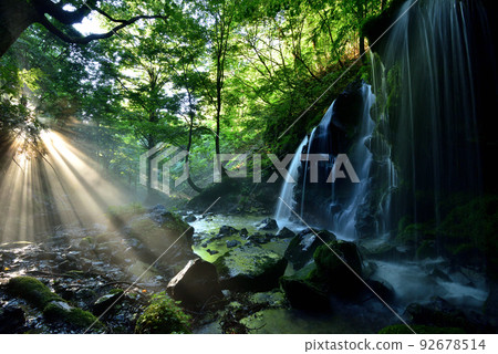Monkey Bottle Falls Monkey Bottle Falls 92678514