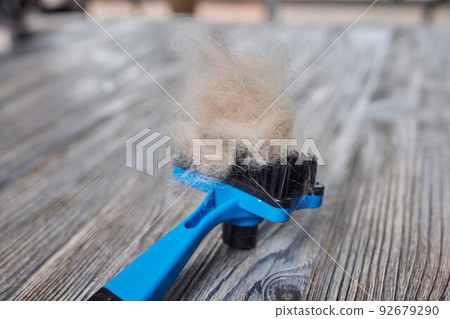 Man grooming cat with special gloves. Pet care. Man grooming cat with special gloves. Pet care. 92679290