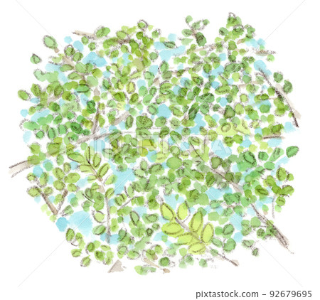 從樹蔭望去的天空/科莫雷比的水彩插圖 92679695