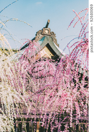 Yuki Shrine和李子 Yuki Shrine和李子 92680069