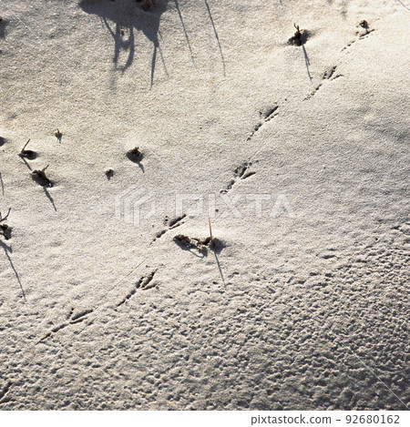 sand sand 92680162