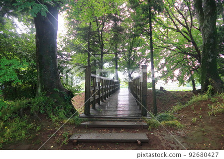 Scenery of Sakai Castle 92680427