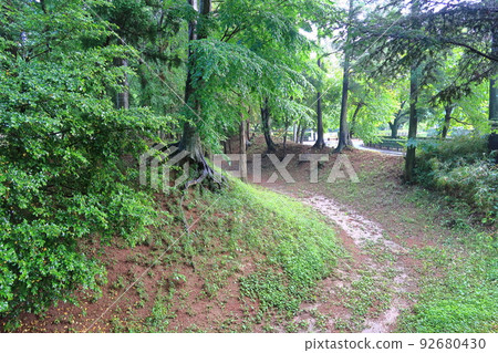 Scenery of Sakai Castle 92680430