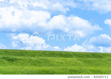 藍天白雲夏草 92680711