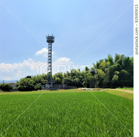 Mobile phone base station and paddy field Mobile phone base station and paddy field 92680913
