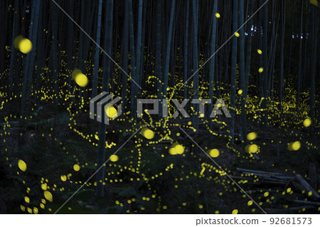 Himebotaru Aiouyama Ryokuchi Chikurin, Nagoya City 92681573