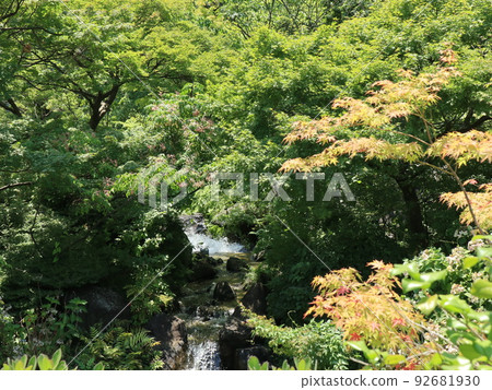 東京都港區赤坂檜木町公園風景 東京都港區赤坂檜木町公園風景 92681930