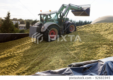 Production of fodder in agricultural complex 92681945