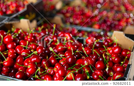 Photo of fresh cherries Photo of fresh cherries 92682011