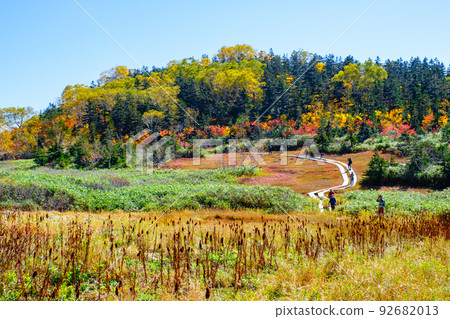Tsugaike自然花園(秋季) Tsugaike自然花園(秋季) 92682013