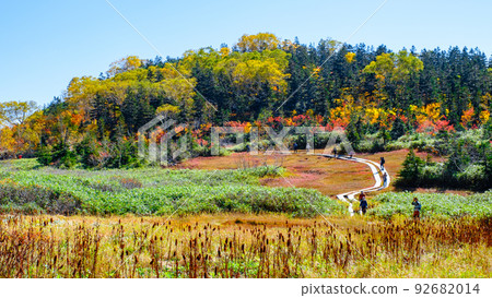 Tsugaike自然花園(秋季) Tsugaike自然花園(秋季) 92682014