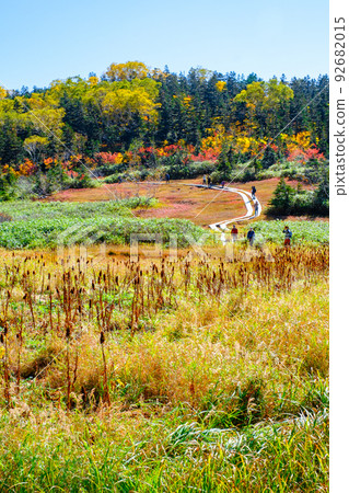 Tsugaike自然花園(秋季) Tsugaike自然花園(秋季) 92682015