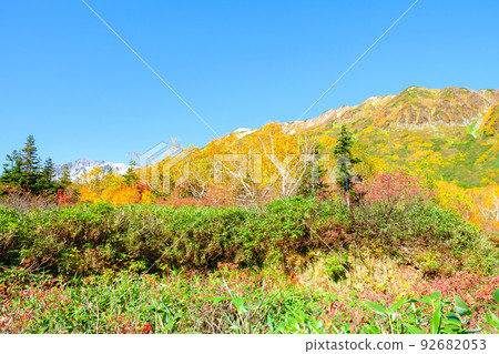 Tsugaike自然花園（秋季） 92682053