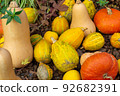 萬聖節南瓜 92682391