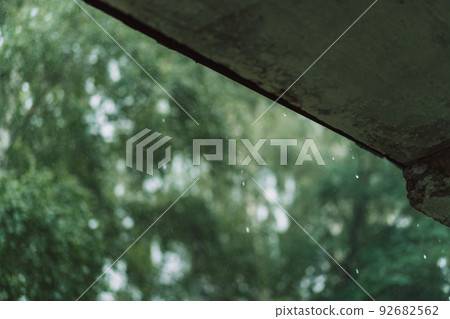 Heavy rain against the green leaves of the trees Heavy rain against the green leaves of the trees 92682562