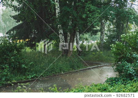 Heavy rain falls on the asphalt in front of grass and trees Heavy rain falls on the asphalt in front of grass and trees 92682571