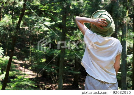 一個戴著帽子的女人在森林裡散步的背影 92682950