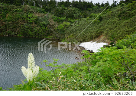 Summer Hachimantai is a flower garden 92683265